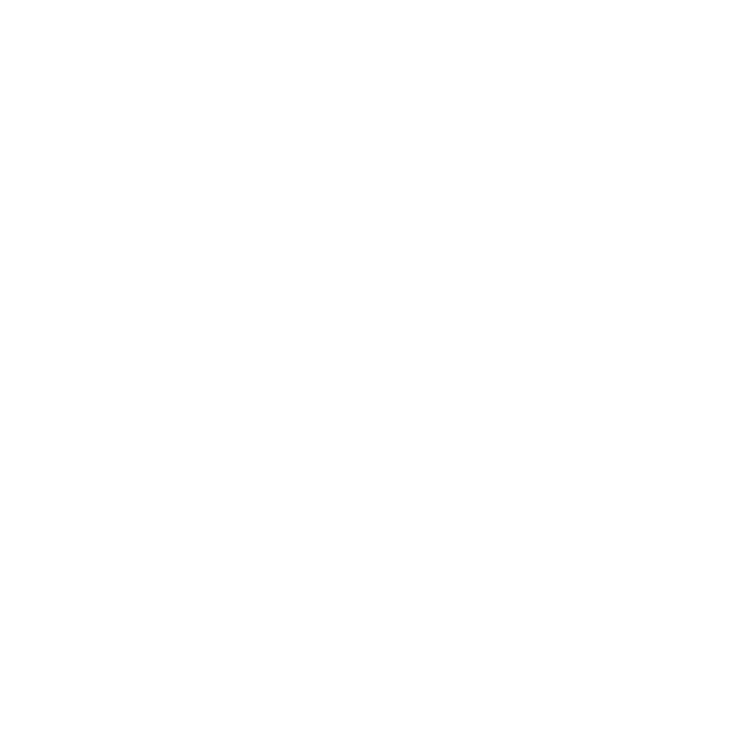 Logo Nicky Blender - freelance 3d Blender artist